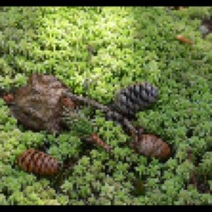 Meet your Posher, Will